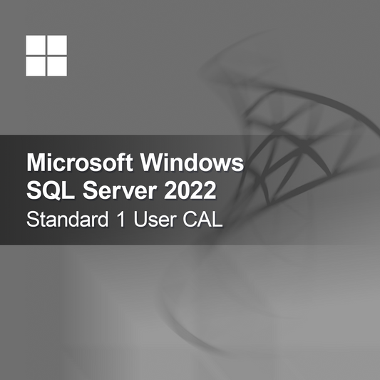 Microsoft SQL Server 2022 Standard 1 Usuario CAL